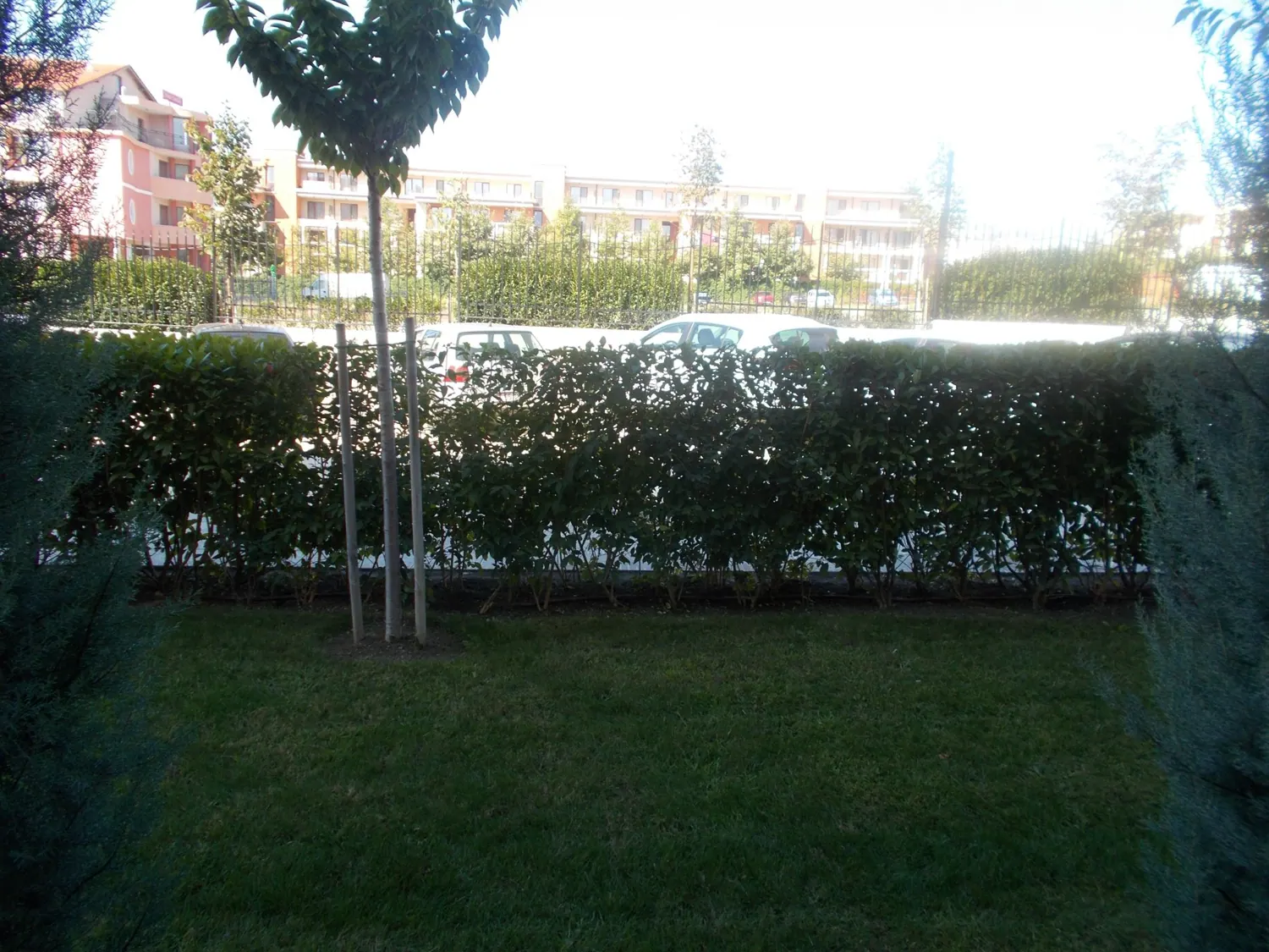 Studio w Premier Fort Beach — zdjęcie 1